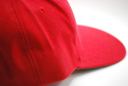 Sports Specialties St. Louis Cardinals Youth Snapback Hat NWT Sample Prototype