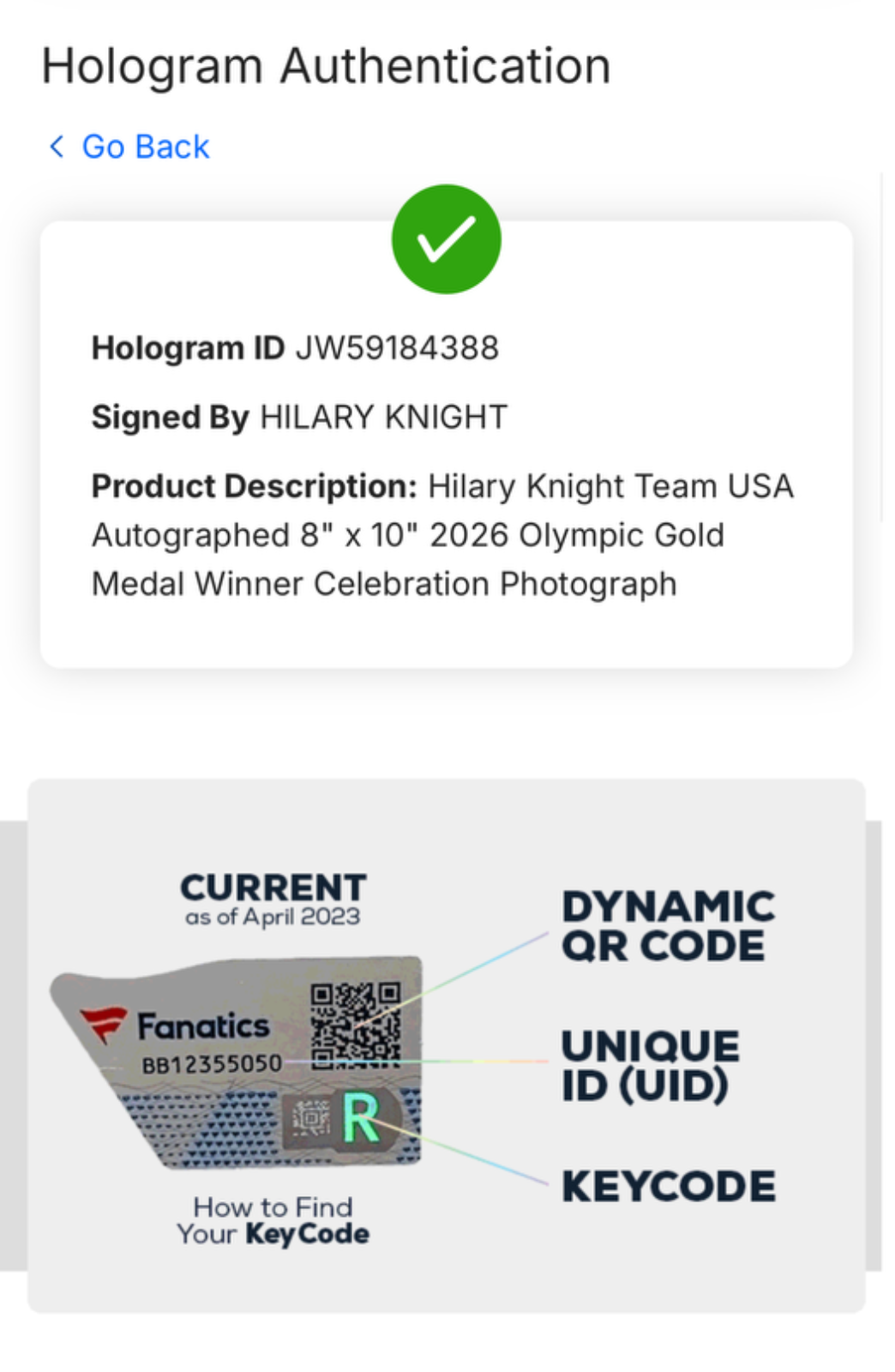 Hilary Knight Signed 8x10 Framed Usa Gold Goal Celebration Auto Fanatics Coa