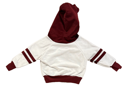 Vintage Washington Redskins Toddler Sweatshirt and Pants Set Sz 12-18 Months New