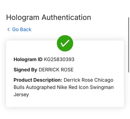 Derrick Rose Signed Nike Chicago Bulls Icon Jersey Auto Fanatics COA MVP