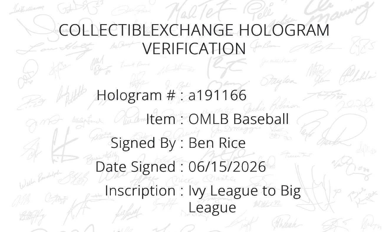 Ben Rice Signed Official Baseball Ivy League To Big League Auto Steiner Yankees
