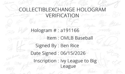 Ben Rice Signed Official Baseball Ivy League To Big League Auto Steiner Yankees
