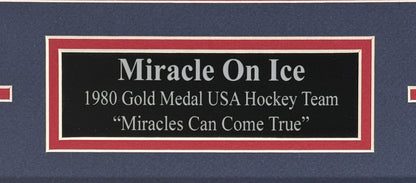 1980 Team USA Hockey Gold Medal Miracle On Ice 8x10 Celebration Photo Framed