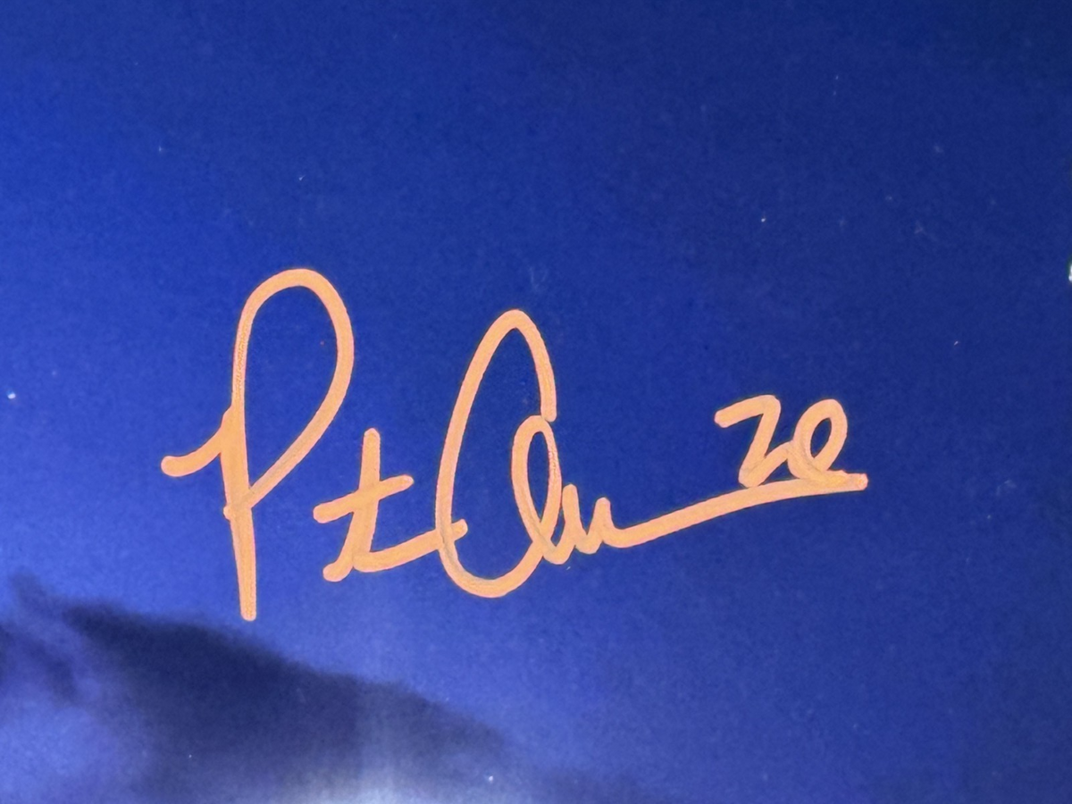 Pete Alonso Signed New York Mets 16x20 Photo Framed Auto Fanatics COA