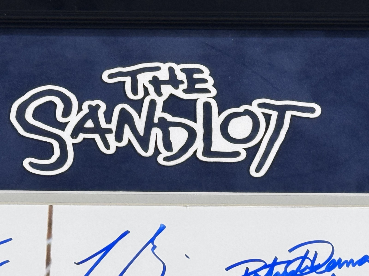 The Sandlot Movie Cast Signed 16x20 Photo Framed 8 Autograph Smalls Ham JSA COA