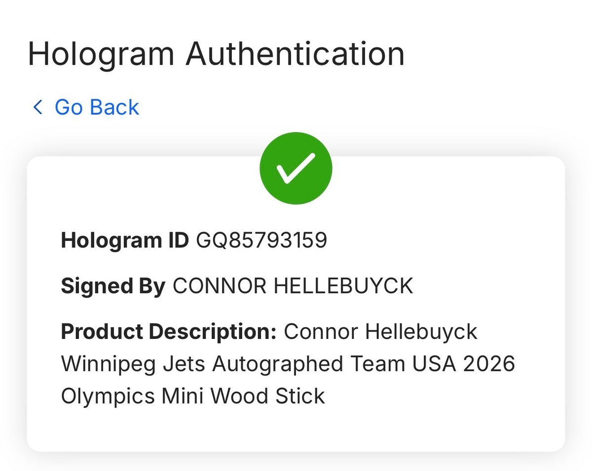 Connor Hellebuyck Signed Team USA 2026 Olympics Mini Stick Auto Fanatics Jets