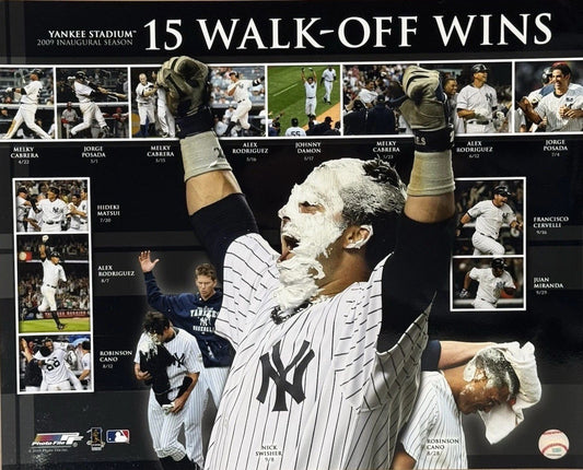2009 Ny Yankees 15 Walk Off Wins 16x20 Photo File World Series Nick Swisher MLB