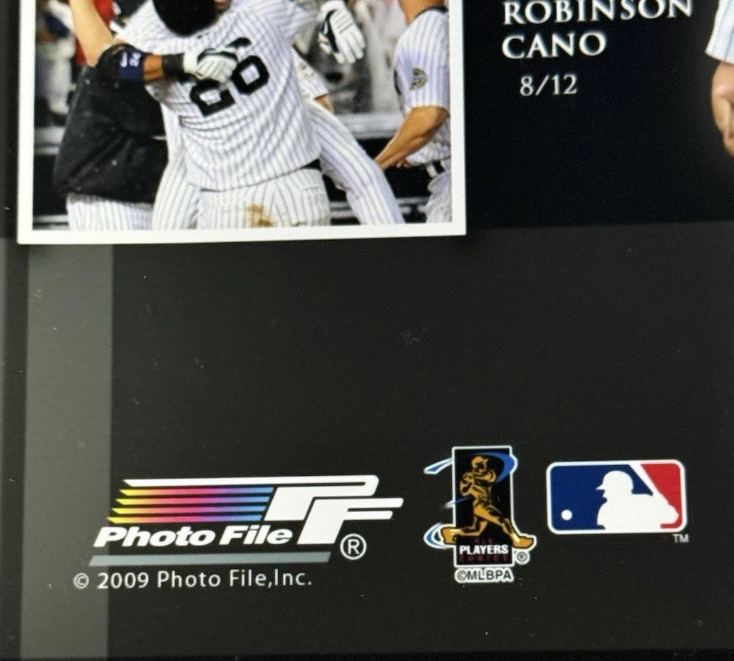 2009 Ny Yankees 15 Walk Off Wins 16x20 Photo File World Series Nick Swisher MLB