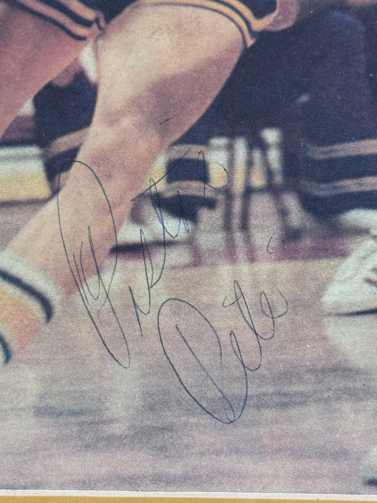 Pete Maravich Signed Sporting News Paper Framed Pistol Pete Auto PSA Jazz HOF